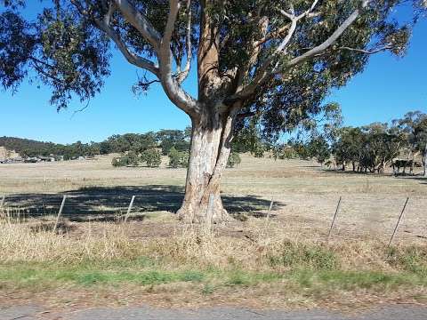 Photo: Melbourne Polytechnic Yan Yean Farm